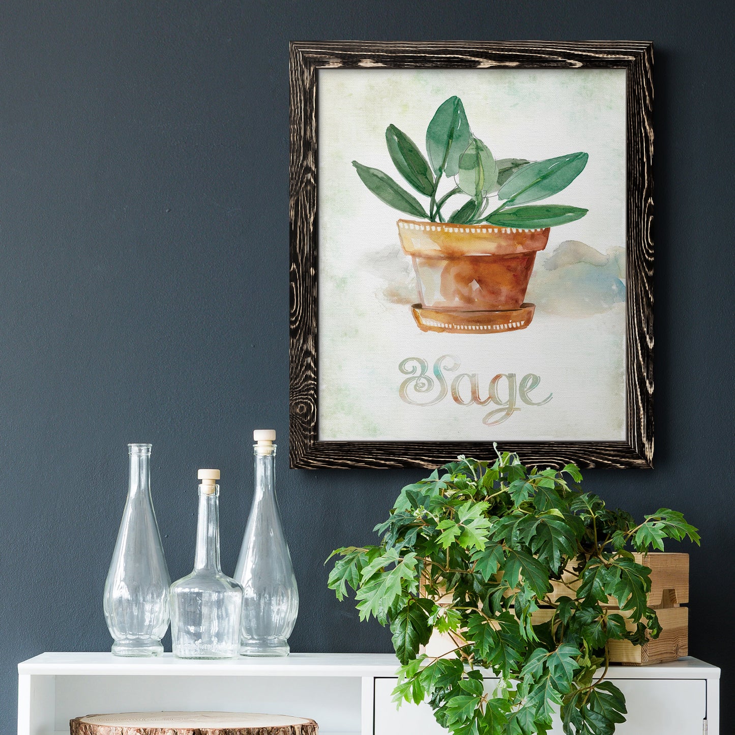Potted Sage - Barnwood Framed Canvas Print