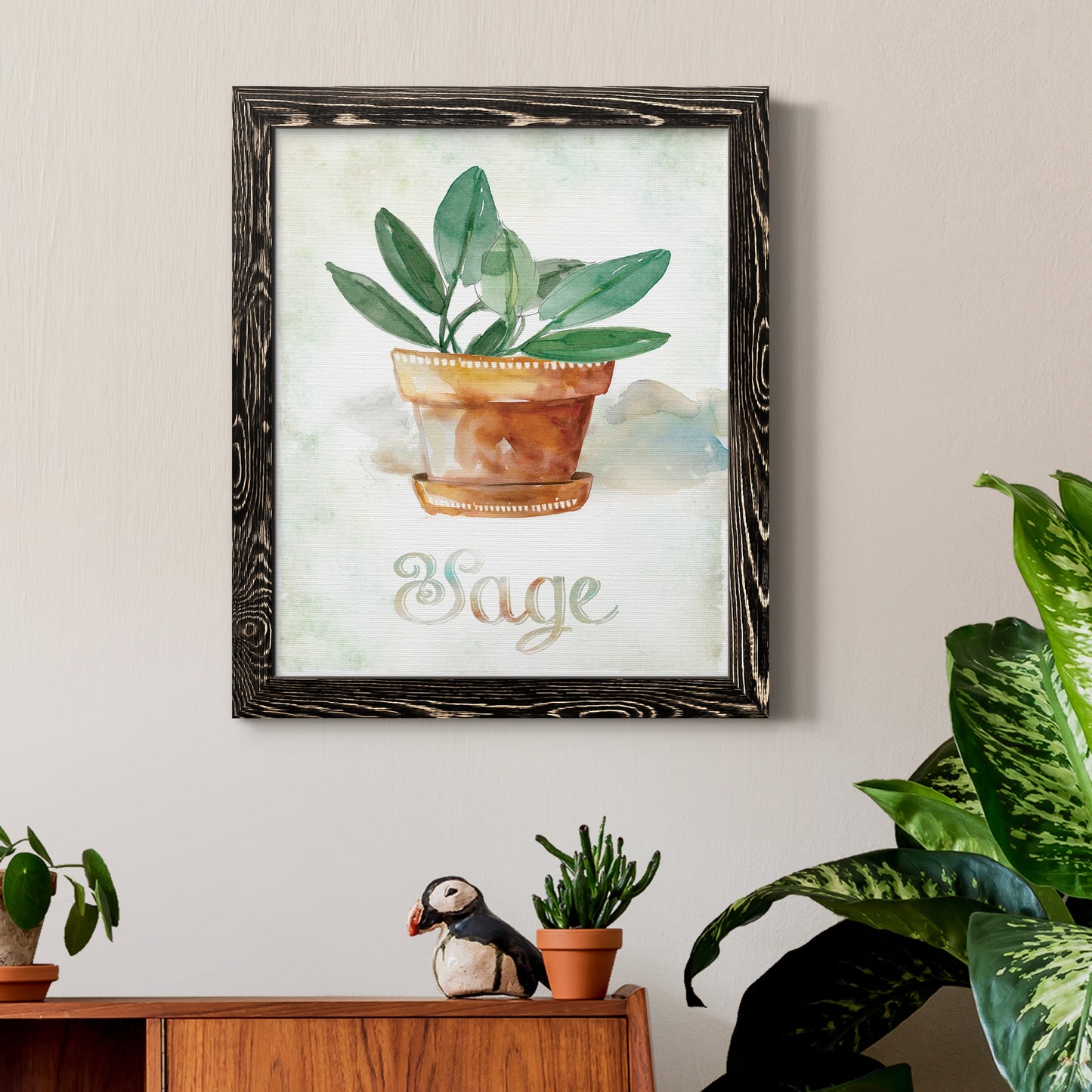 Potted Sage - Barnwood Framed Canvas Print