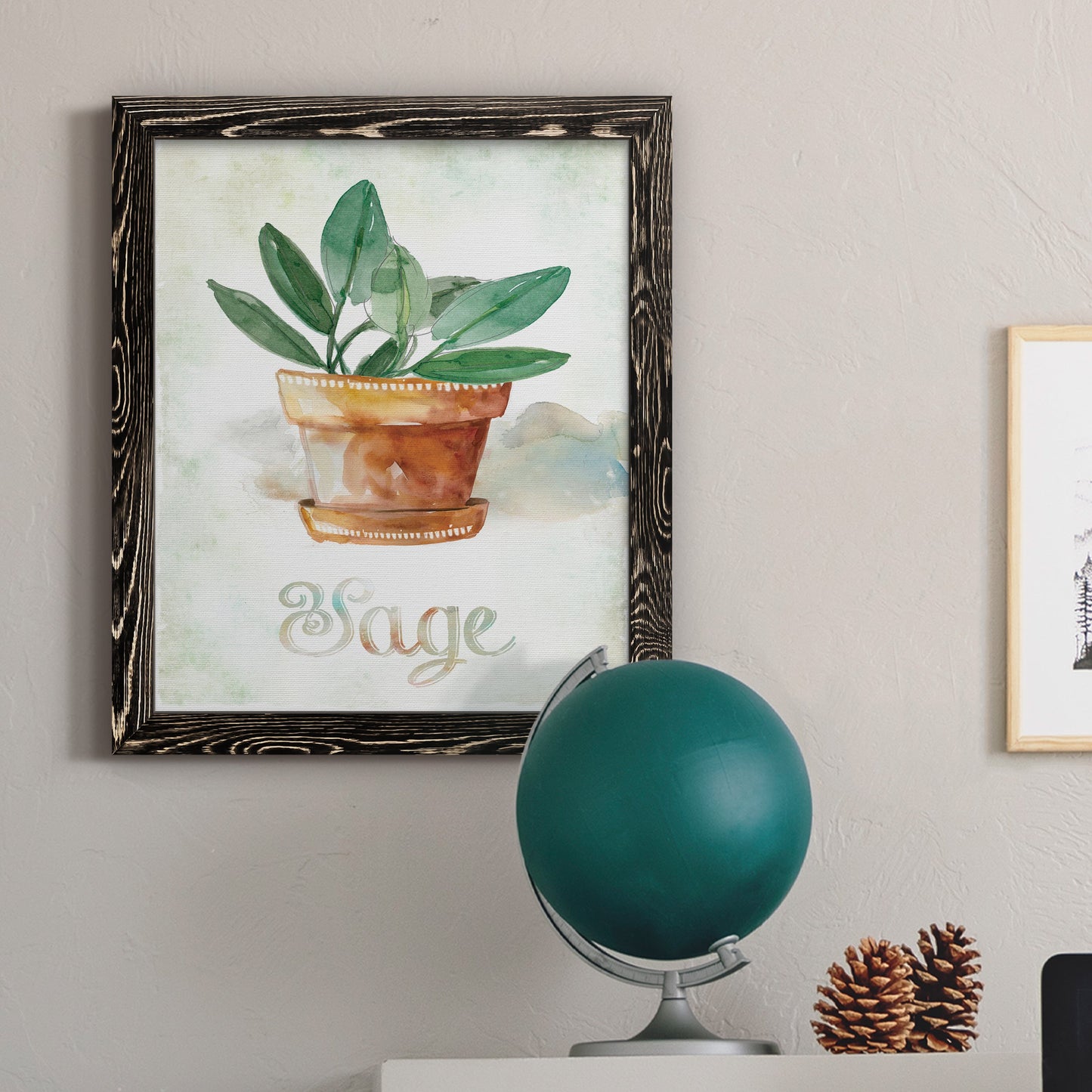 Potted Sage - Barnwood Framed Canvas Print