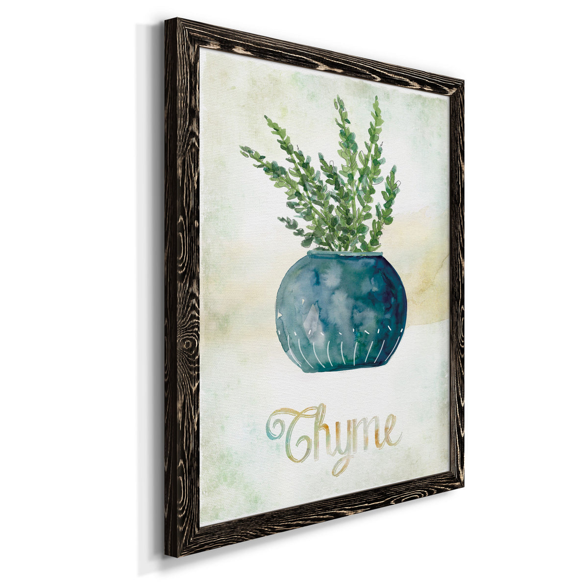 Potted Thyme - Barnwood Framed Canvas Print