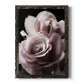Rose Noir II - Barnwood Framed Canvas Print