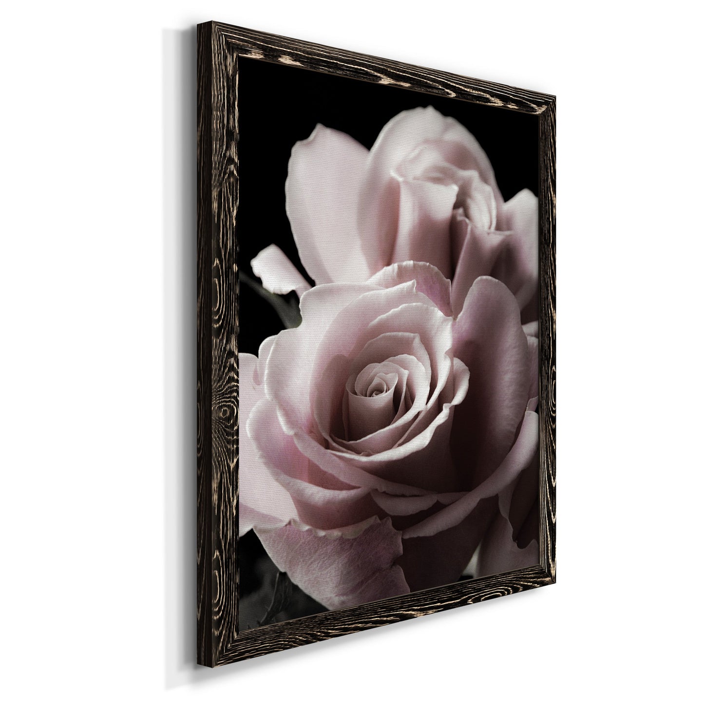 Rose Noir II - Barnwood Framed Canvas Print