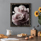 Rose Noir II - Barnwood Framed Canvas Print