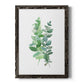 Eucalyptus II - Barnwood Framed Canvas Print