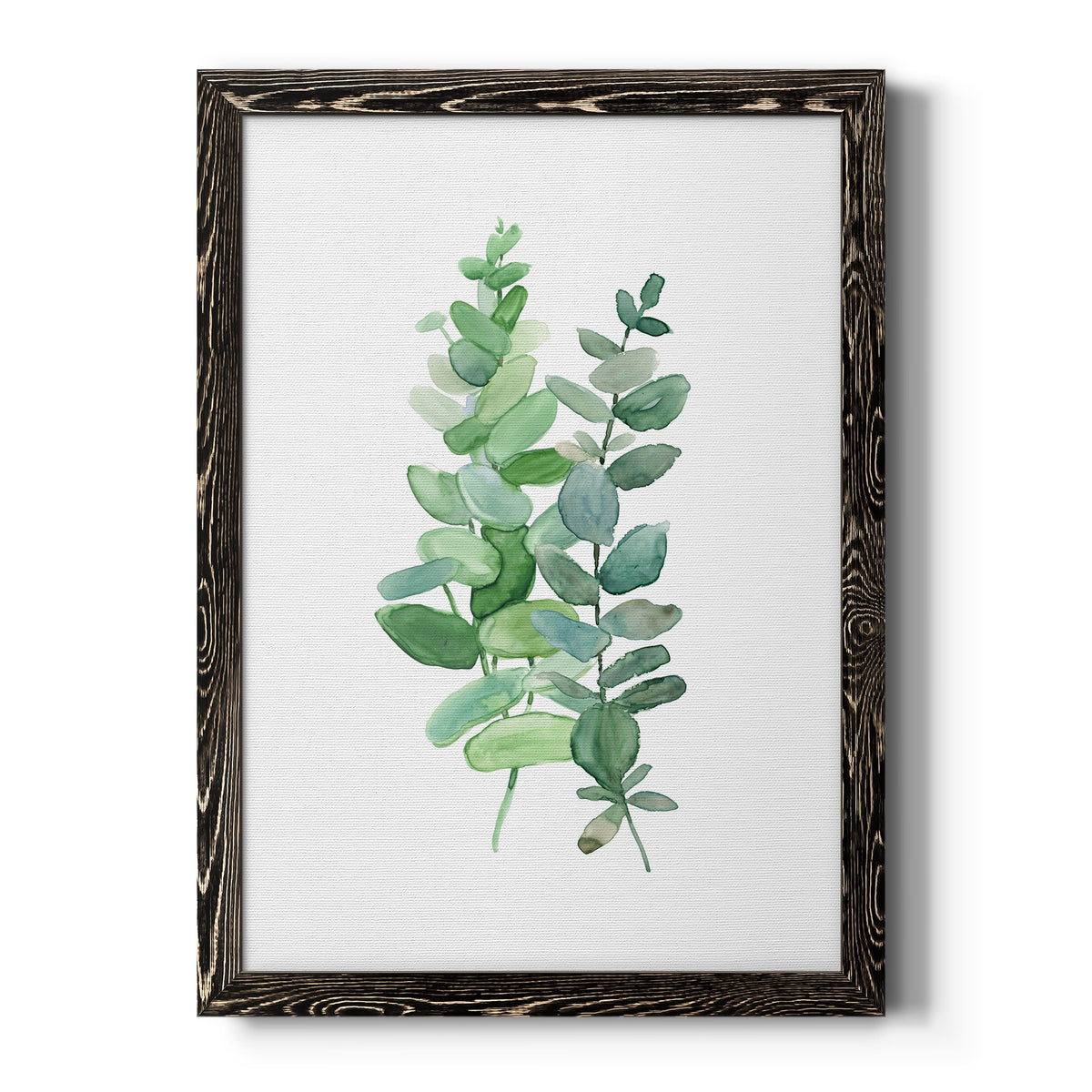 Eucalyptus II - Barnwood Framed Canvas Print
