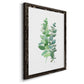 Eucalyptus II - Barnwood Framed Canvas Print