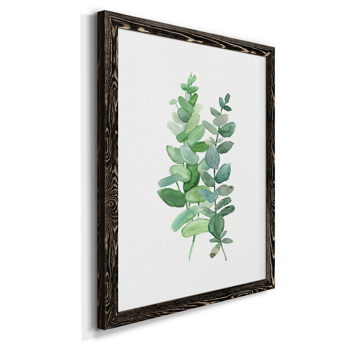 Eucalyptus II - Barnwood Framed Canvas Print
