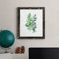 Eucalyptus II - Barnwood Framed Canvas Print