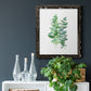 Eucalyptus II - Barnwood Framed Canvas Print
