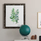 Eucalyptus II - Barnwood Framed Canvas Print