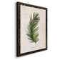 Palm Botanical II - Barnwood Framed Canvas Print