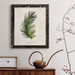 Palm Botanical II - Barnwood Framed Canvas Print