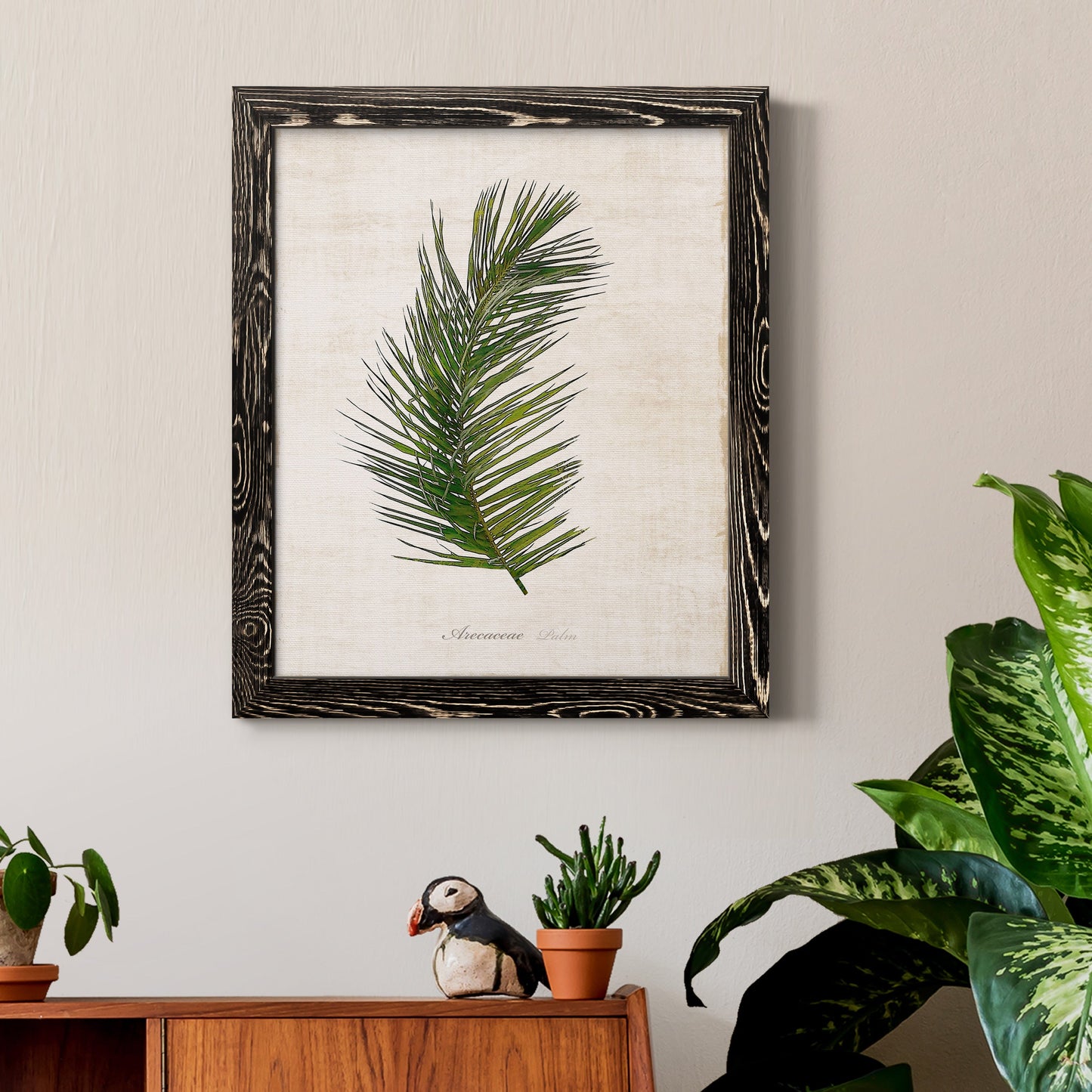 Palm Botanical II - Barnwood Framed Canvas Print