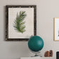 Palm Botanical II - Barnwood Framed Canvas Print