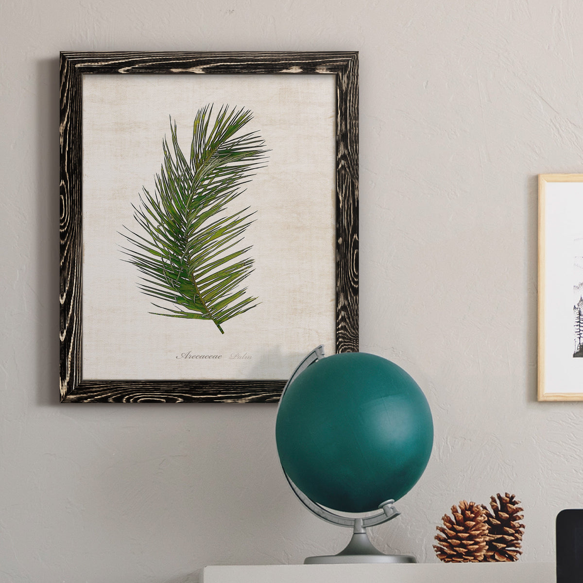 Palm Botanical II - Barnwood Framed Canvas Print