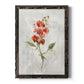Linen Sweet Pea - Barnwood Framed Canvas Print