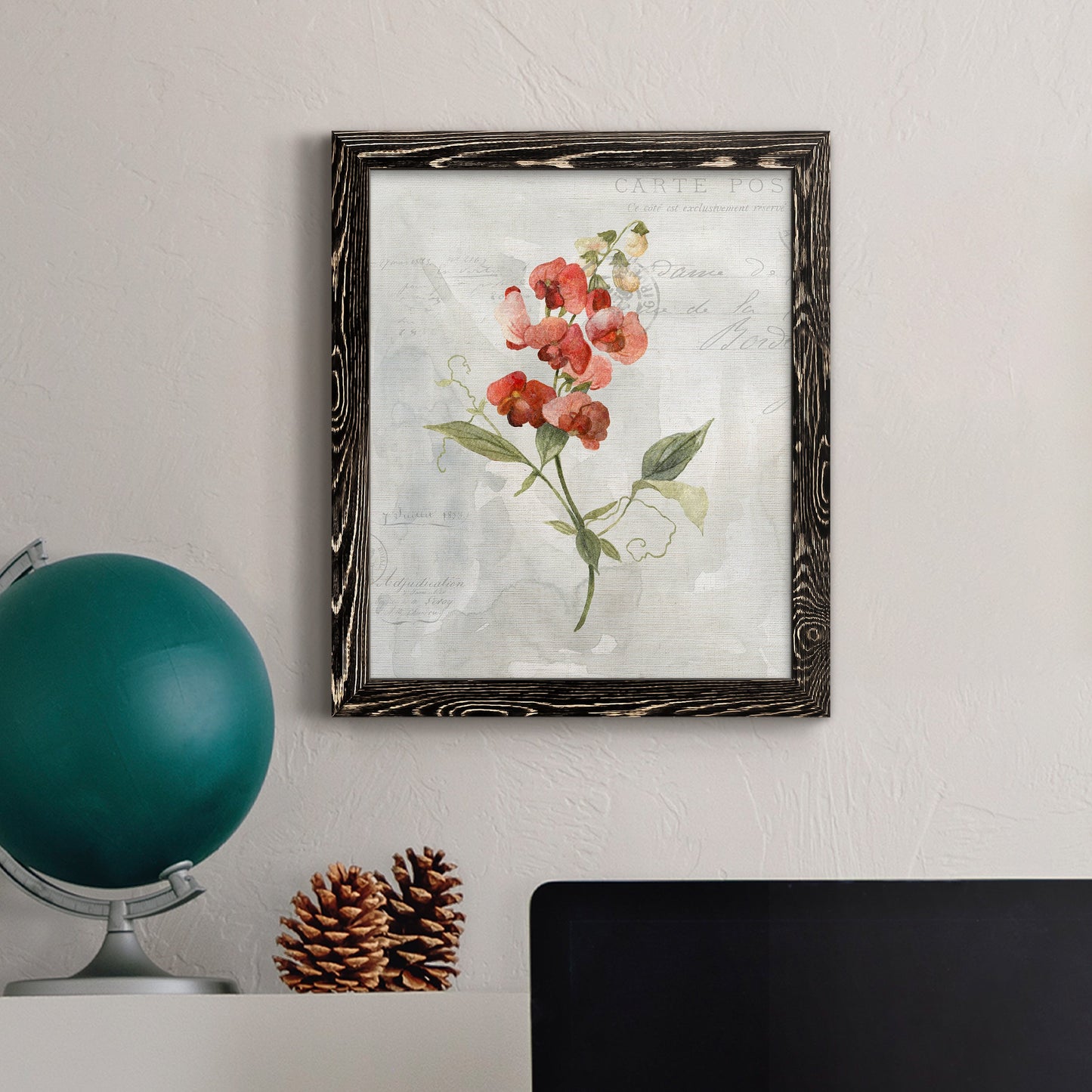 Linen Sweet Pea - Barnwood Framed Canvas Print