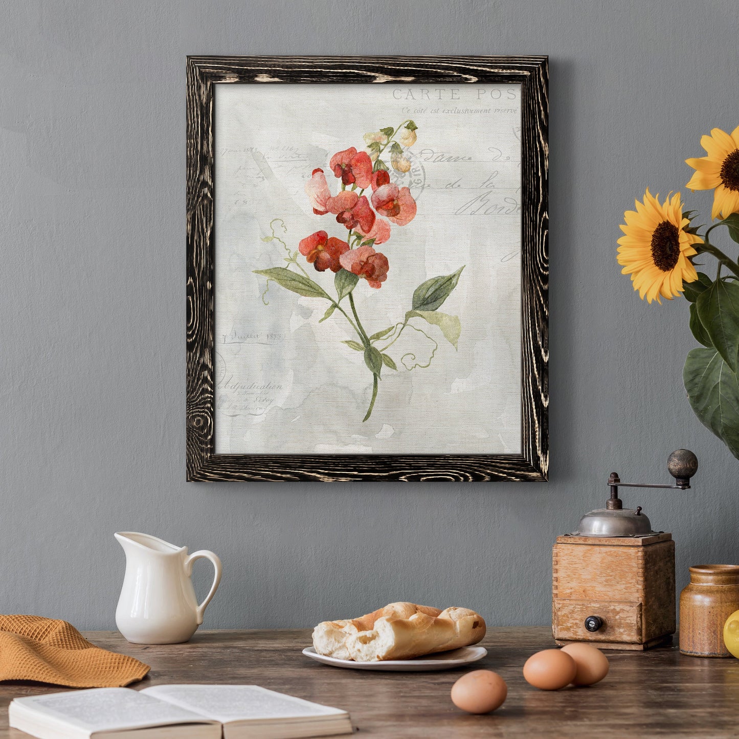 Linen Sweet Pea - Barnwood Framed Canvas Print