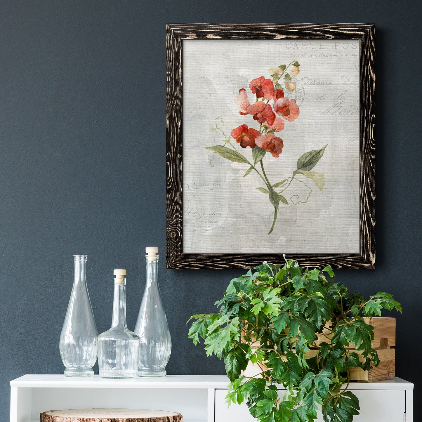 Linen Sweet Pea - Barnwood Framed Canvas Print