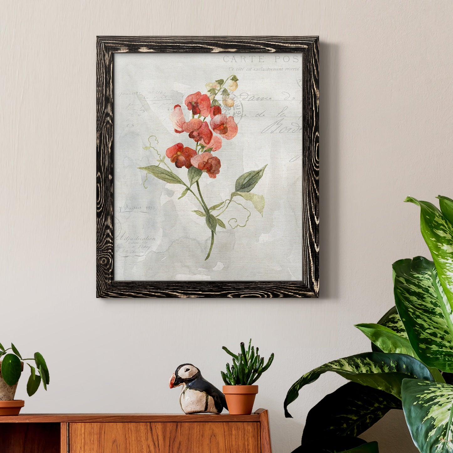Linen Sweet Pea - Barnwood Framed Canvas Print