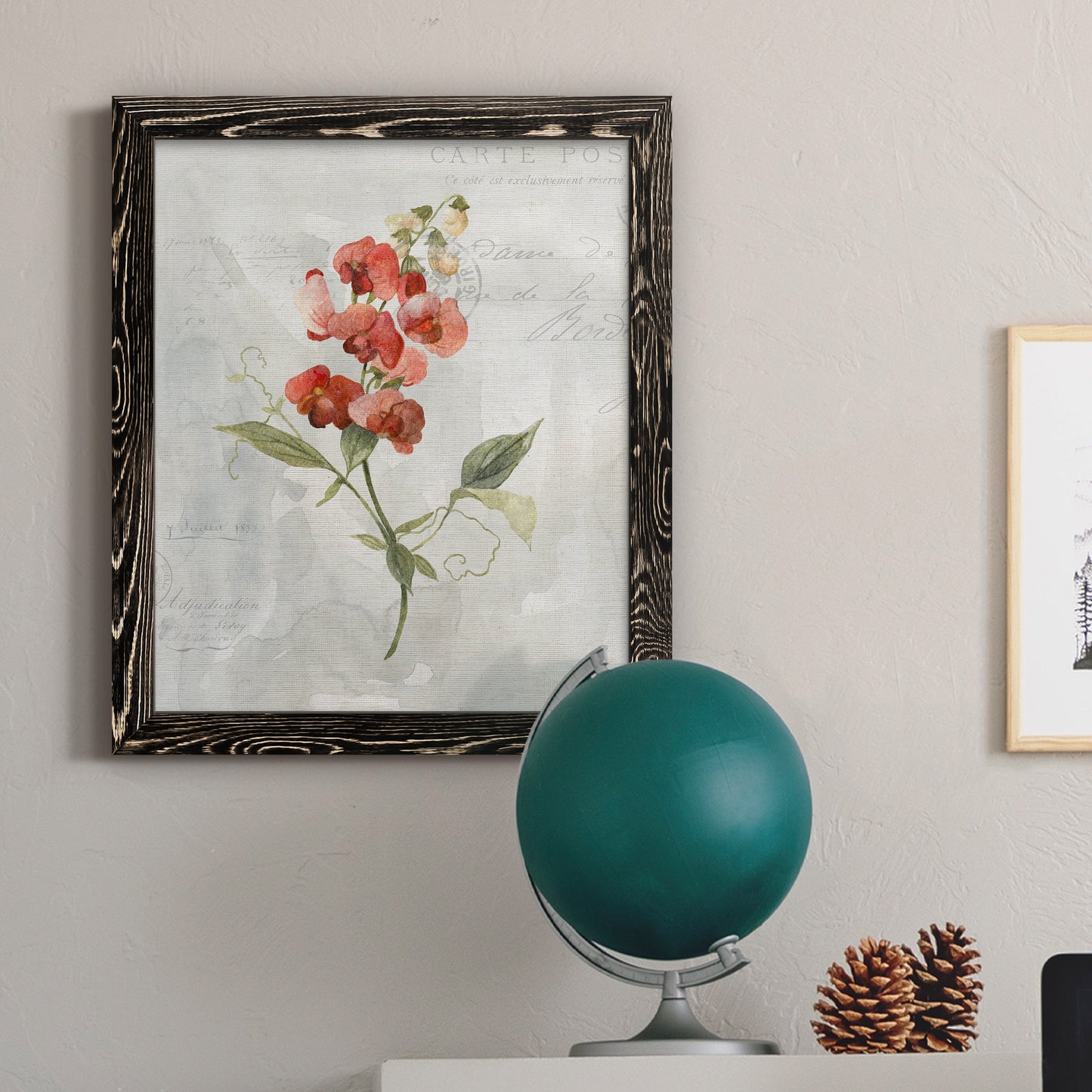 Linen Sweet Pea - Barnwood Framed Canvas Print