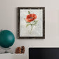 Linen Poppy - Barnwood Framed Canvas Print
