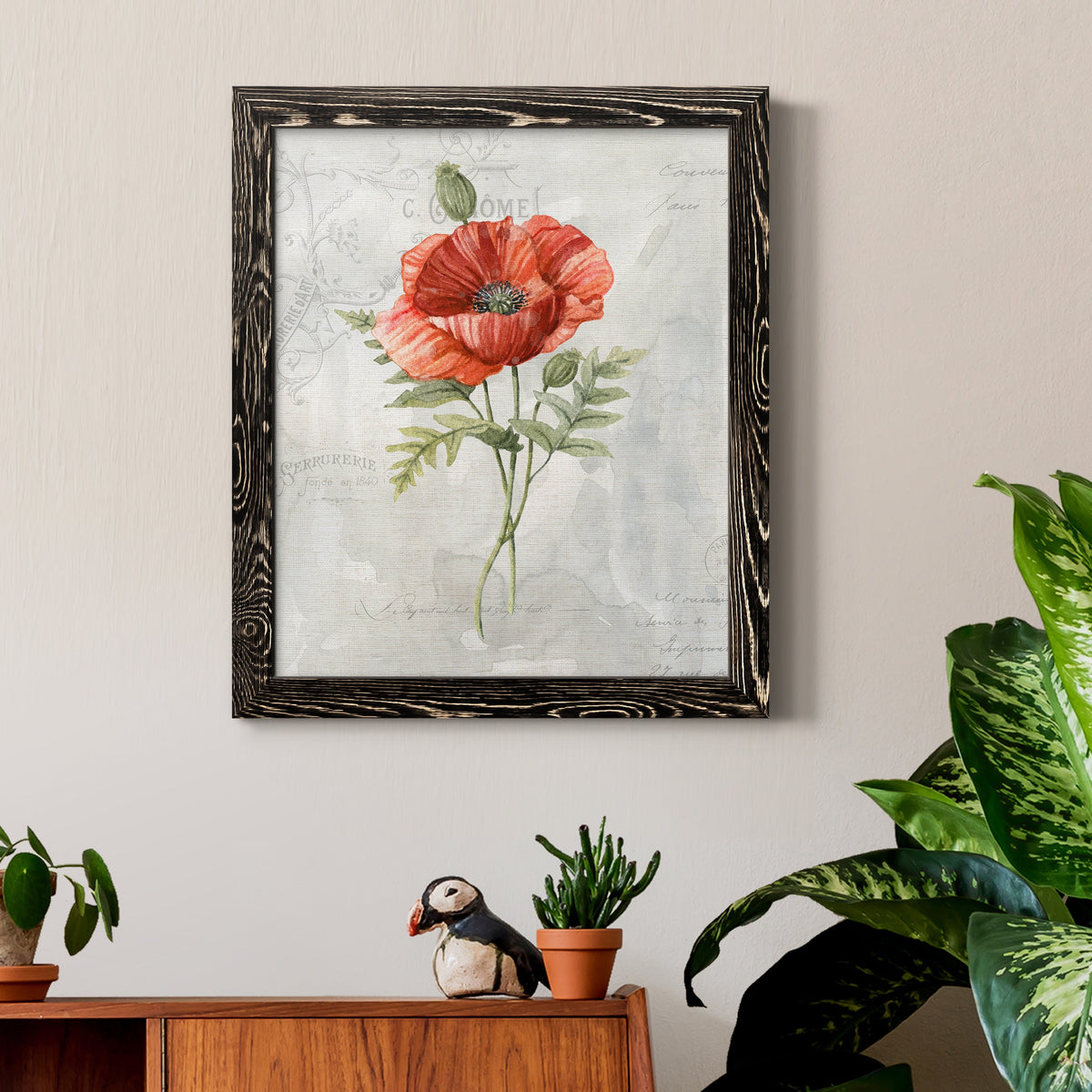 Linen Poppy - Barnwood Framed Canvas Print