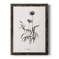 Sketchbook Imperial - Barnwood Framed Canvas Print