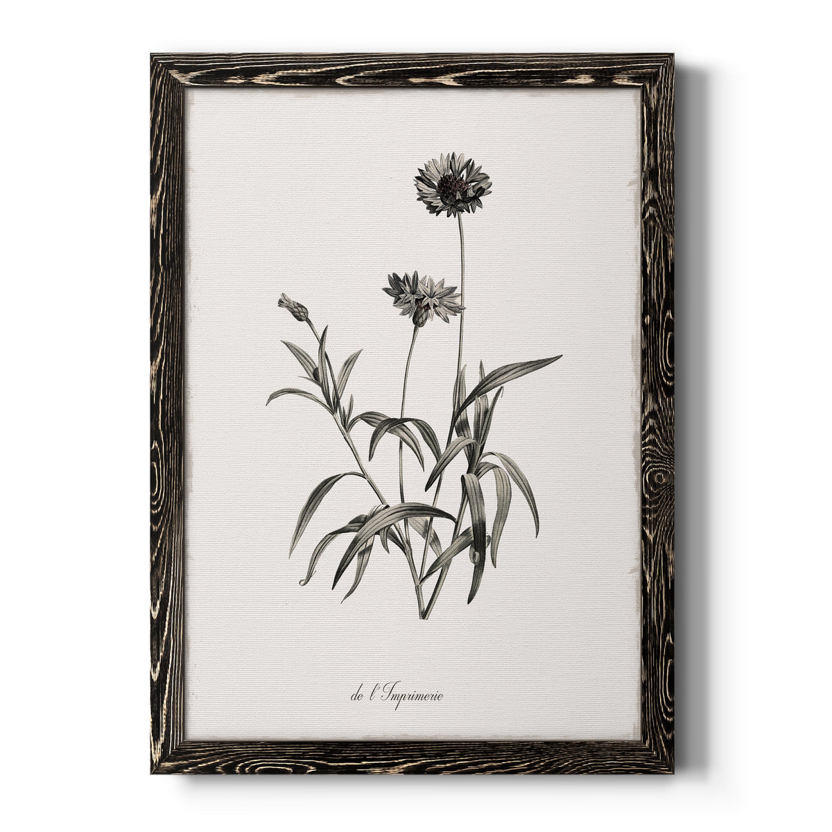 Sketchbook Imperial - Barnwood Framed Canvas Print