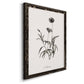Sketchbook Imperial - Barnwood Framed Canvas Print