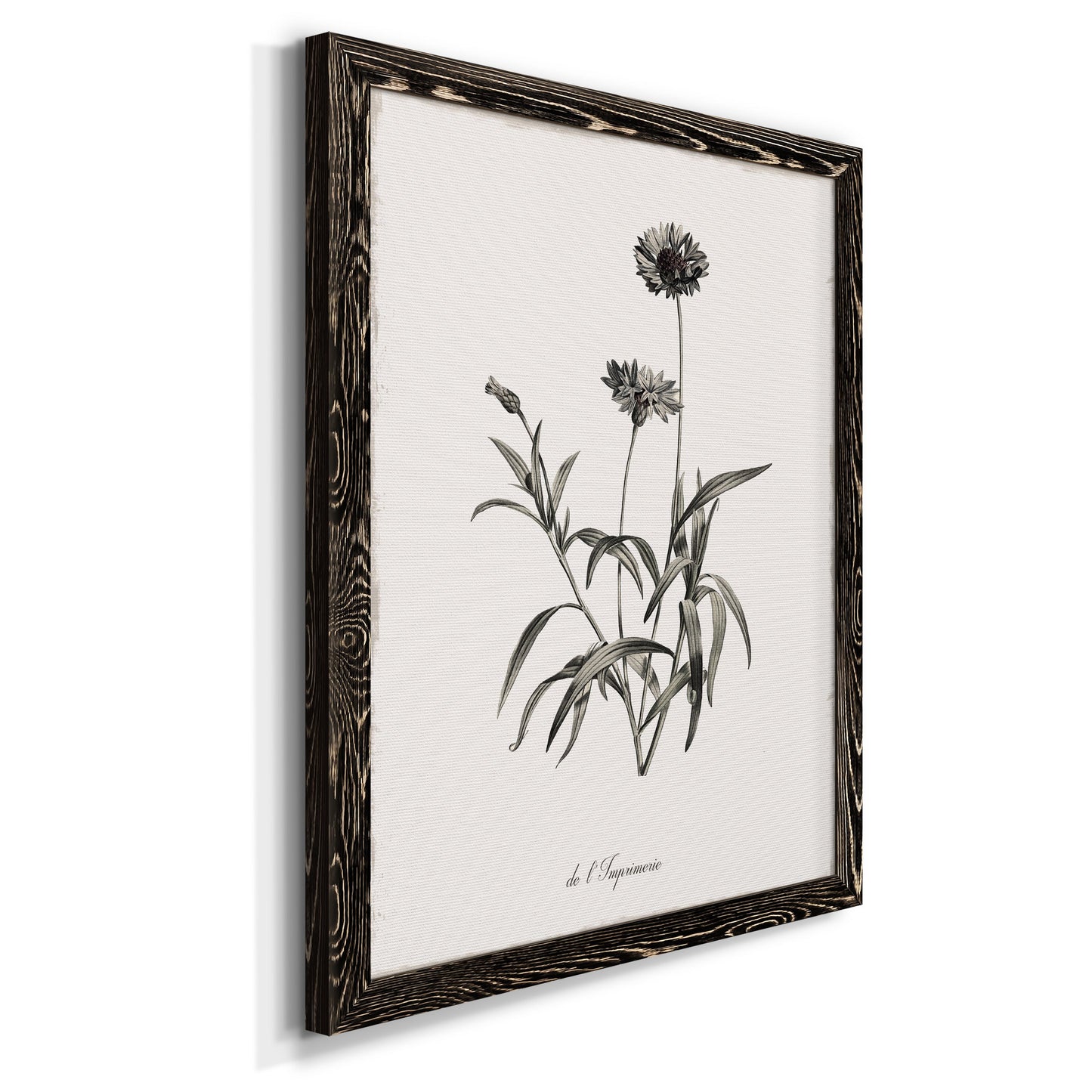 Sketchbook Imperial - Barnwood Framed Canvas Print