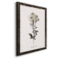 Sketchbook Leadwort - Barnwood Framed Canvas Print