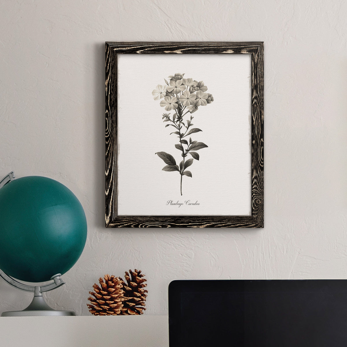 Sketchbook Leadwort - Barnwood Framed Canvas Print