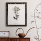 Sketchbook Leadwort - Barnwood Framed Canvas Print