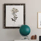 Sketchbook Leadwort - Barnwood Framed Canvas Print