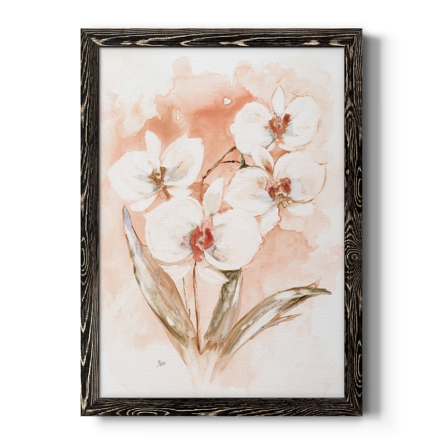 White and Coral Orchid I - Barnwood Framed Canvas Print