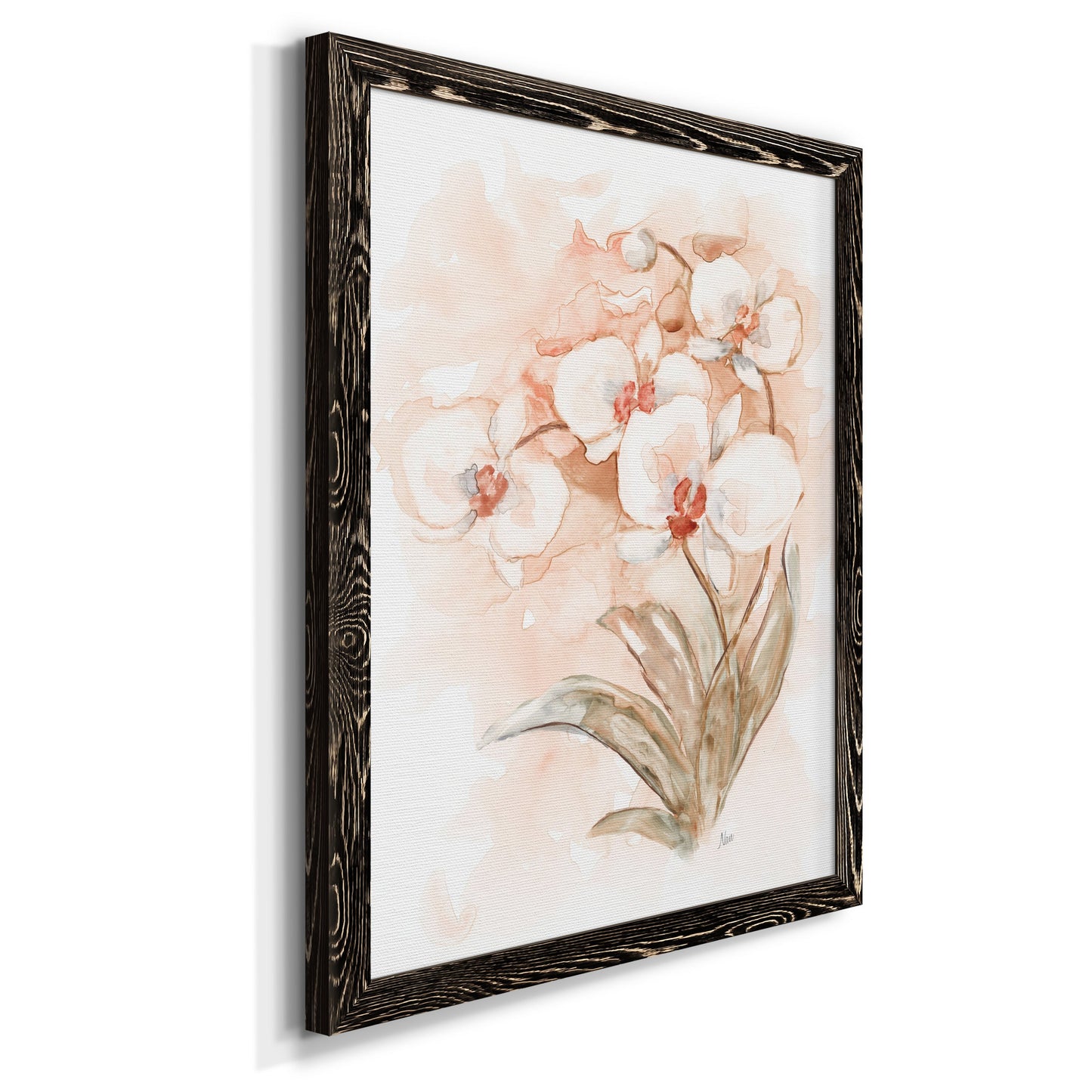 White and Coral Orchid II - Barnwood Framed Canvas Print