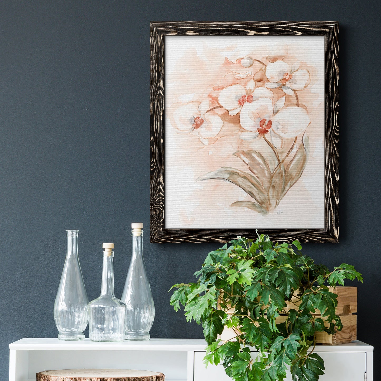 White and Coral Orchid II - Barnwood Framed Canvas Print
