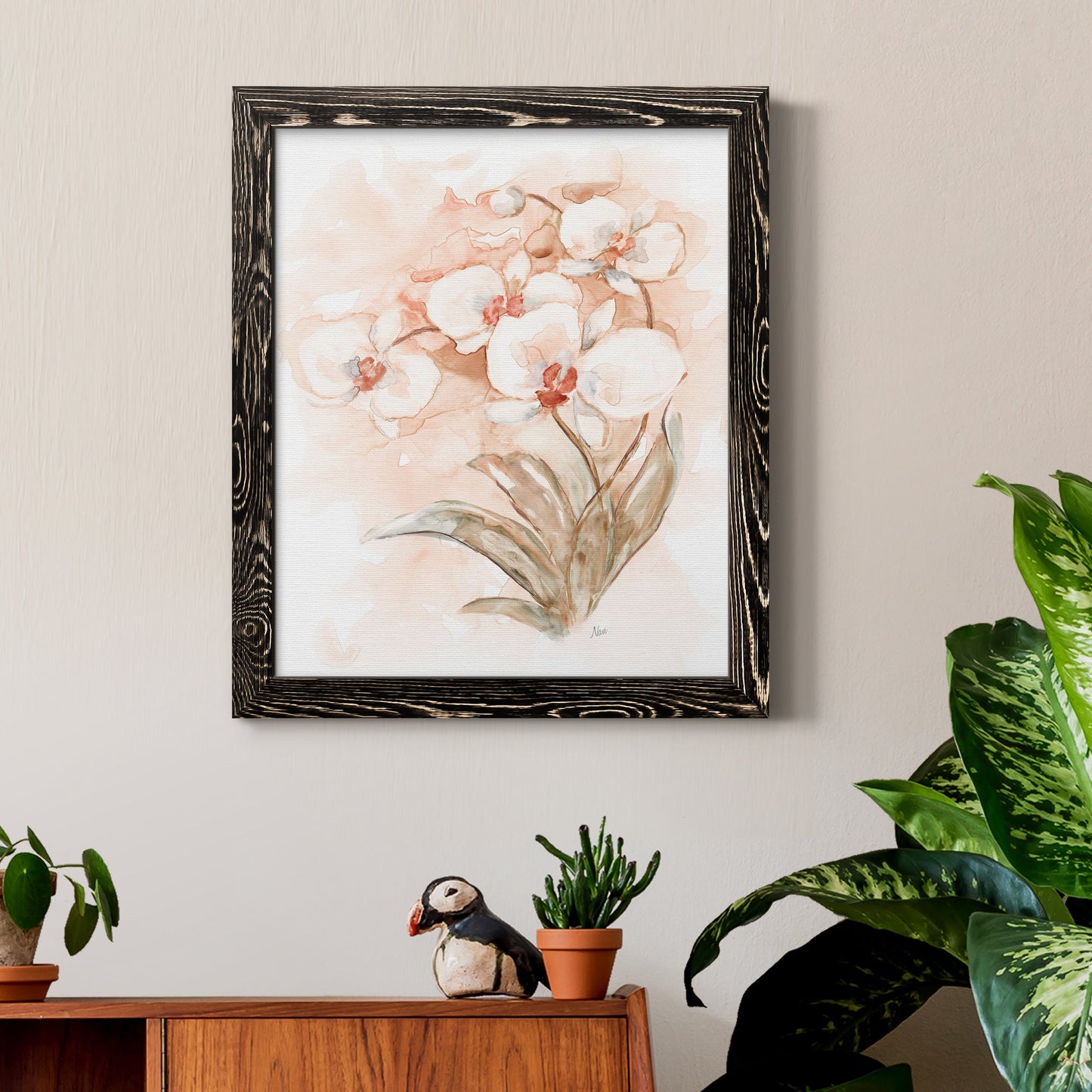 White and Coral Orchid II - Barnwood Framed Canvas Print