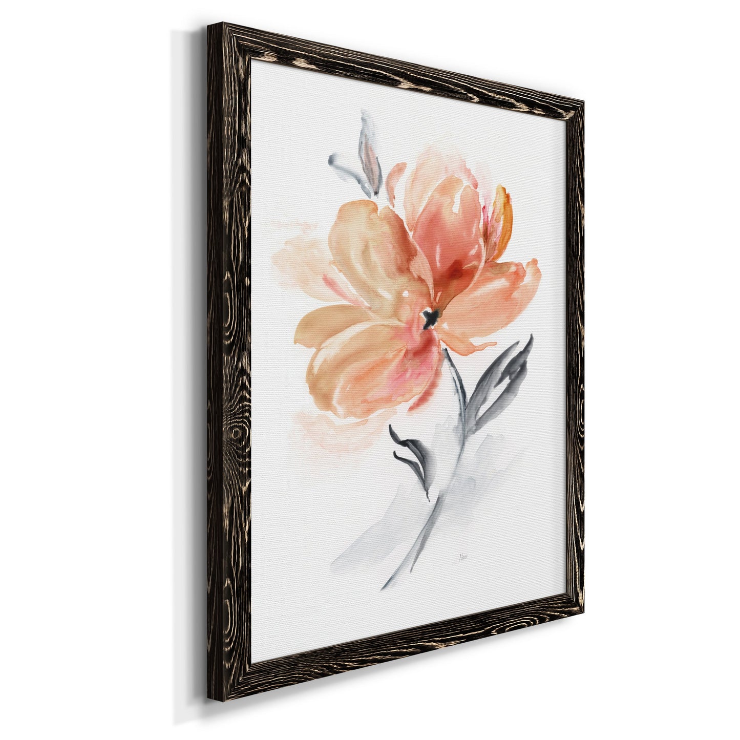Soft Sensation II - Barnwood Framed Canvas Print