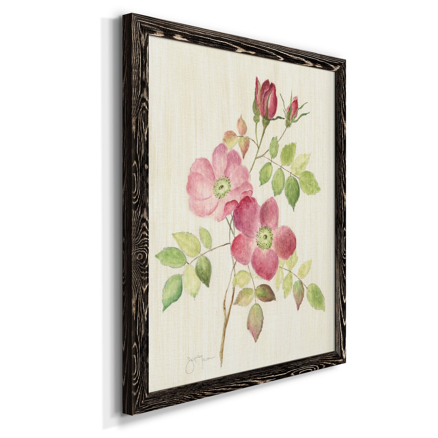 Dusty Rose I - Barnwood Framed Canvas Print