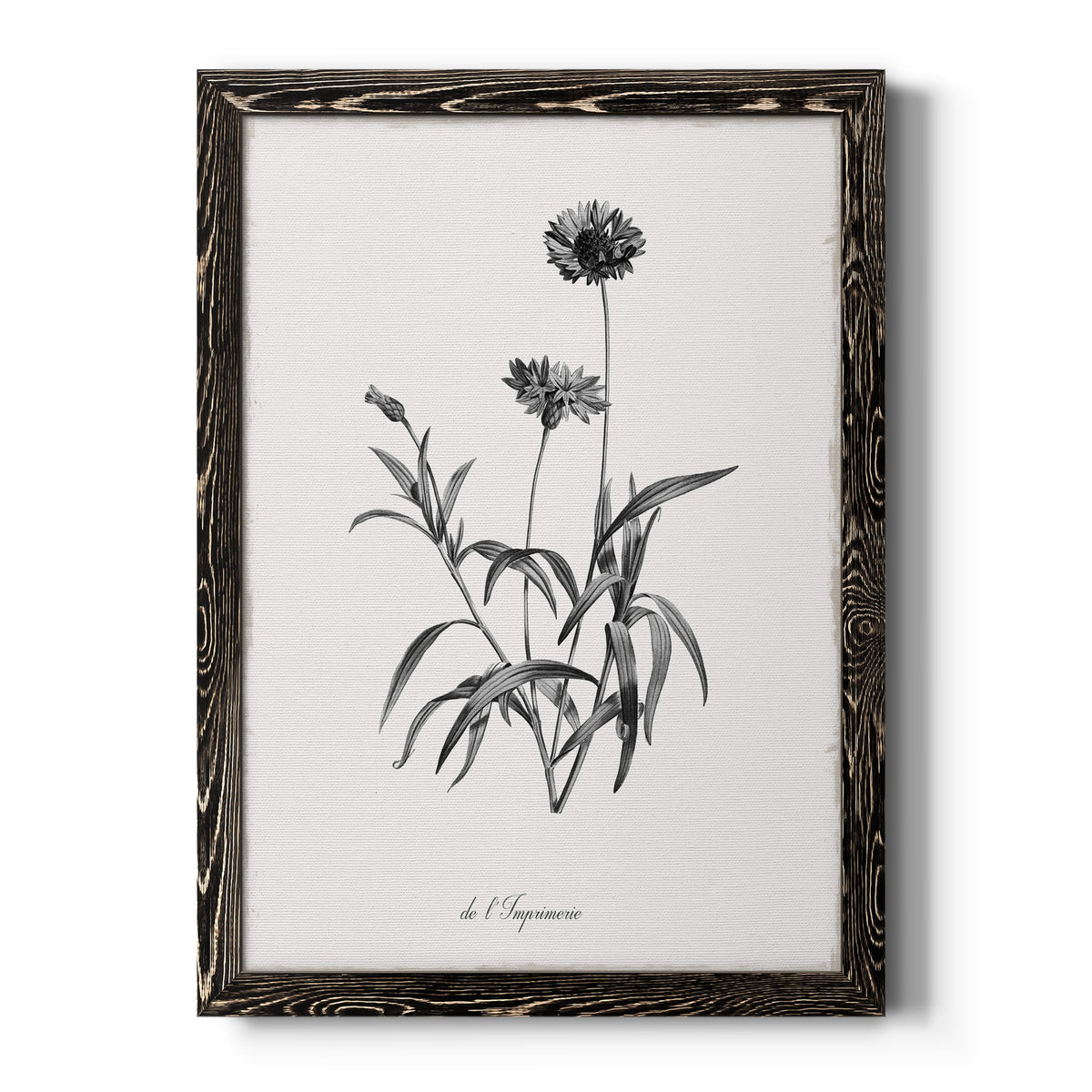 Simply Imperial - Barnwood Framed Canvas Print