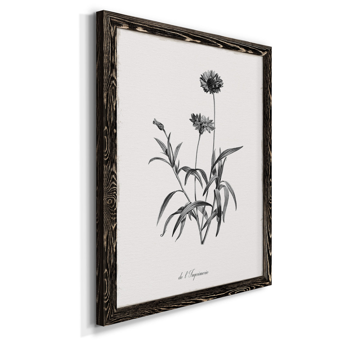 Simply Imperial - Barnwood Framed Canvas Print