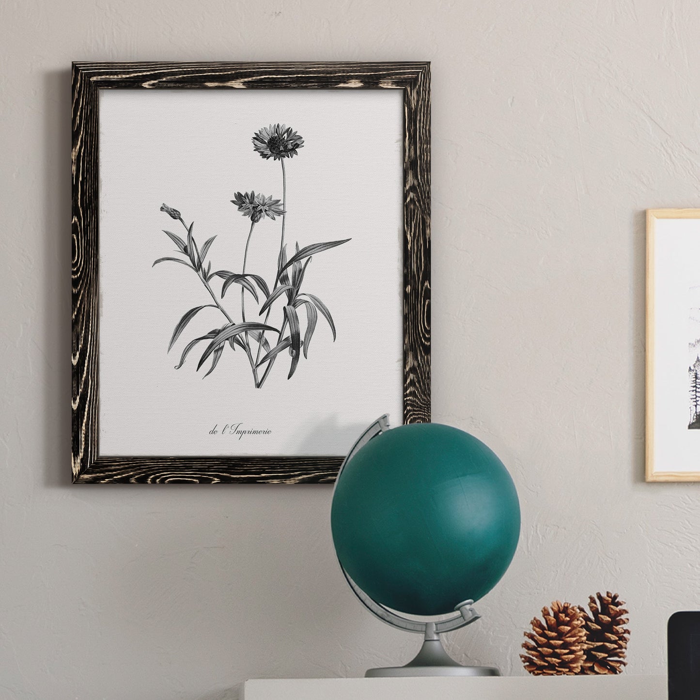 Simply Imperial - Barnwood Framed Canvas Print