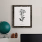 Simply Cape Leadwort - Barnwood Framed Canvas Print