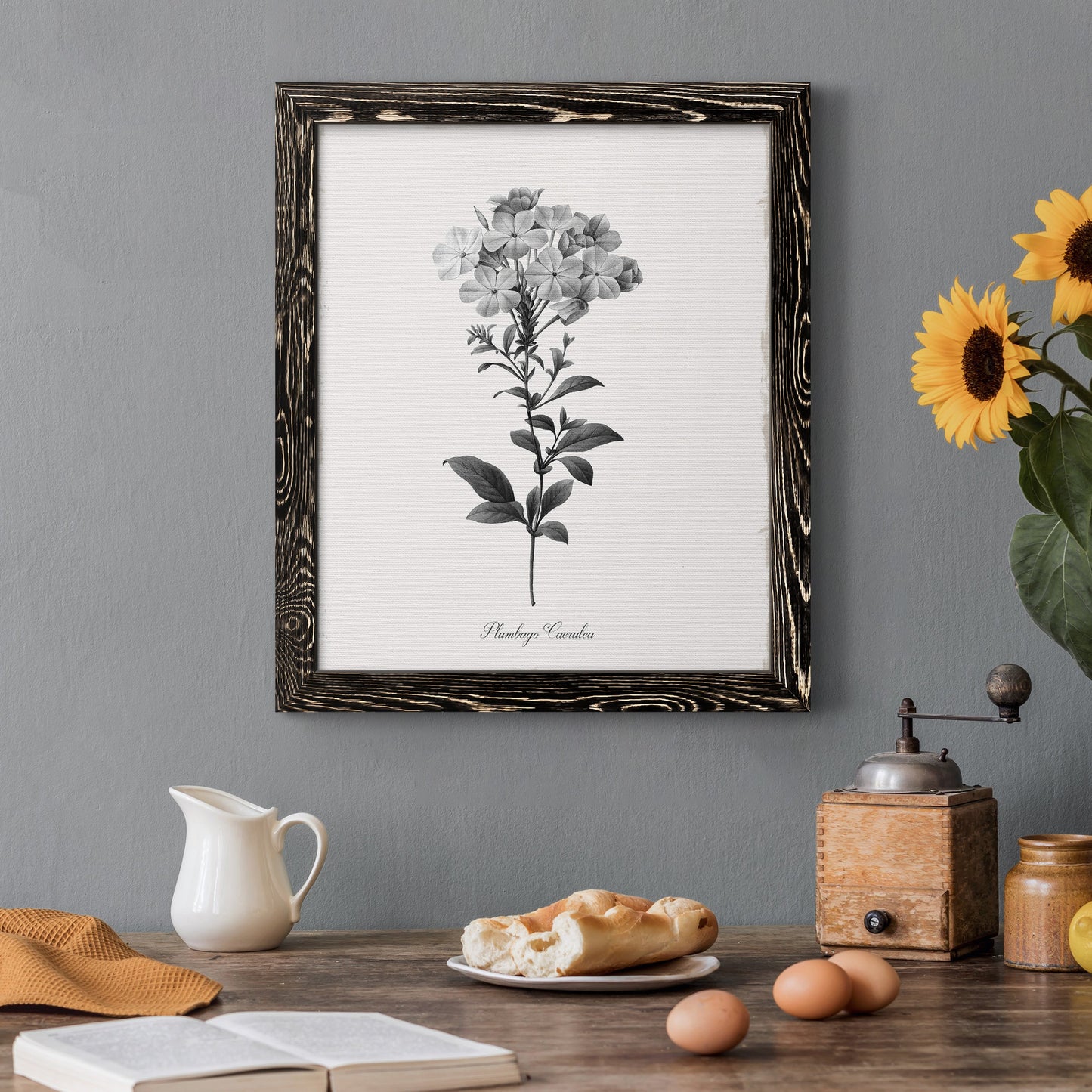 Simply Cape Leadwort - Barnwood Framed Canvas Print
