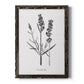 Simply Lavender - Barnwood Framed Canvas Print