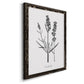 Simply Lavender - Barnwood Framed Canvas Print