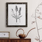 Simply Lavender - Barnwood Framed Canvas Print