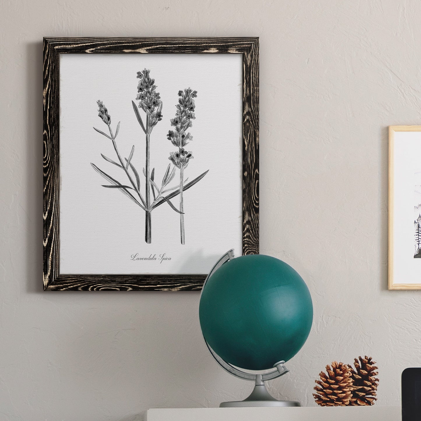 Simply Lavender - Barnwood Framed Canvas Print
